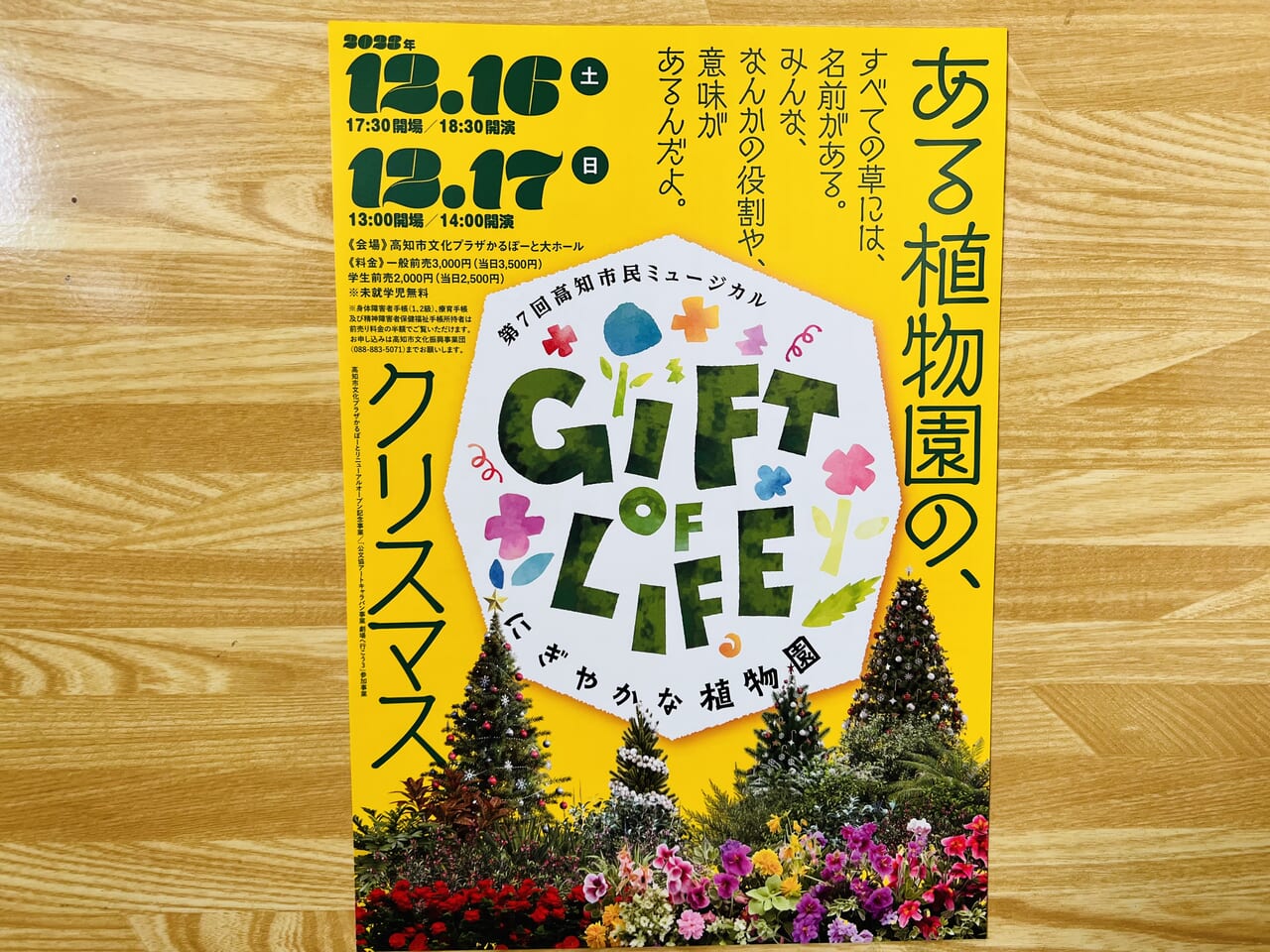市民ミュージカル「GIFT of LIFE〜にぎやかな植物園〜」のチラシ（表）