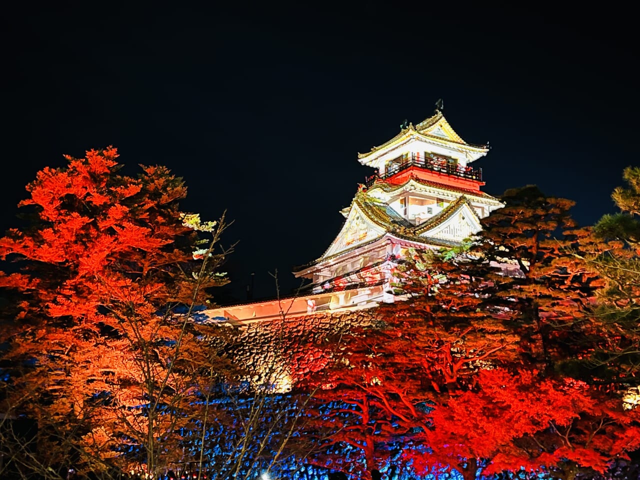 2023年冬に行われた「NAKED夜まつり 高知城」の「高知城」