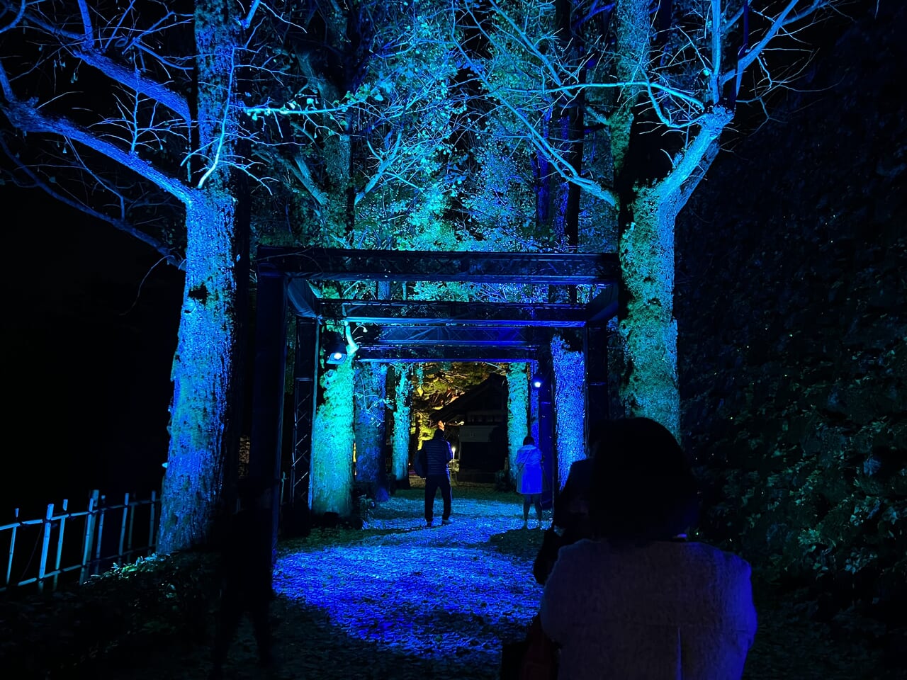 「NAKED夜まつり 高知城」の「高知城」の「仁淀川」をイメージした小道（平日のようす）