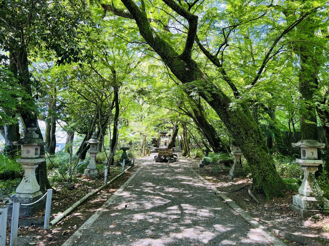 「おやつ神社2024」が行われる山内神社境内