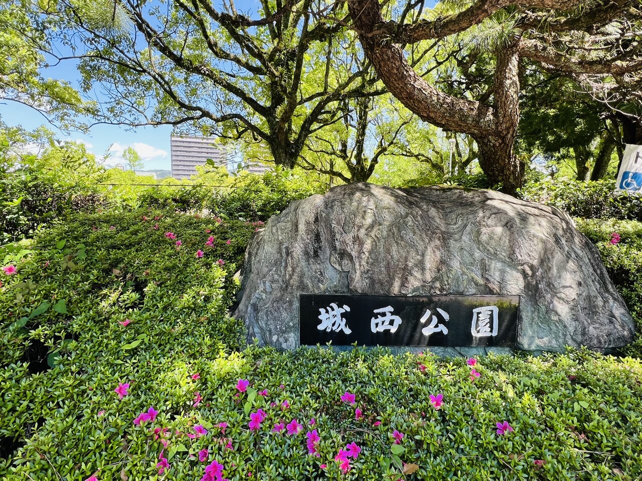 「第1回 全肉祭 in 高知」が行われる城西公園