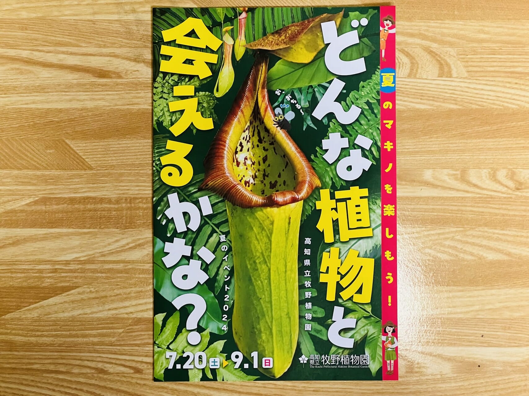 2024年7月20日 ～ 9月1日の間牧野植物園で開催される「食虫植物展」のチラシ