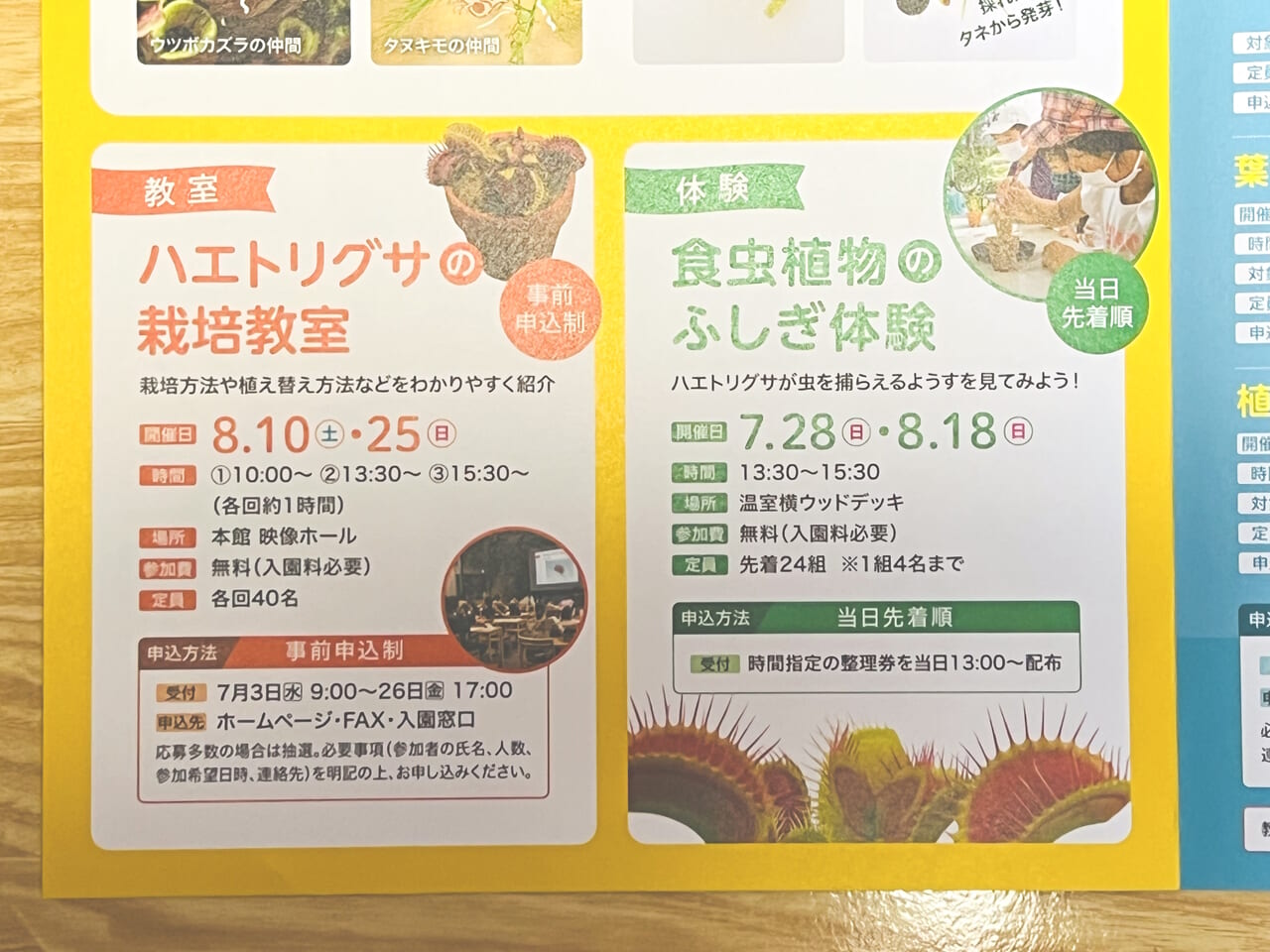 2024年7月20日 ～ 9月1日の間牧野植物園で開催される「食虫植物展」のチラシ