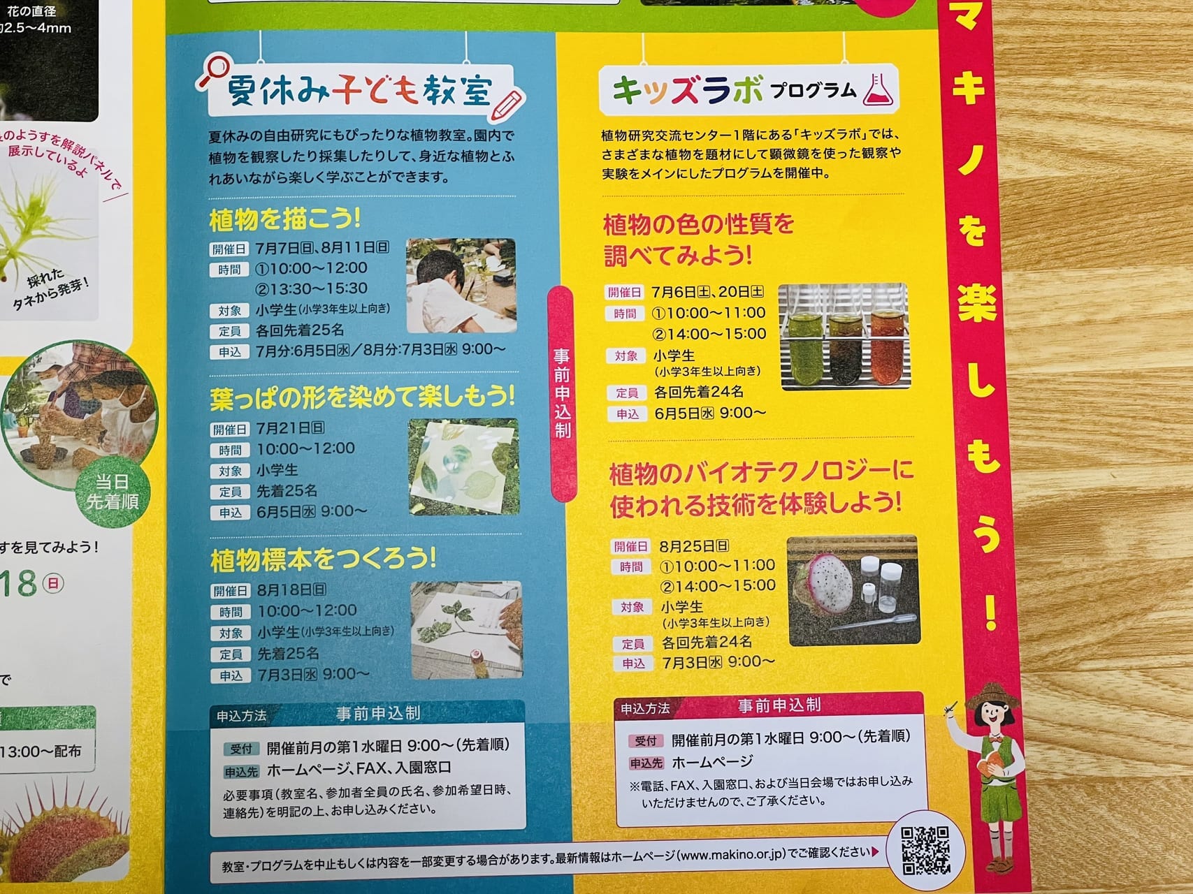 2024年7月20日 ～ 9月1日の間牧野植物園で開催される「食虫植物展」のチラシ