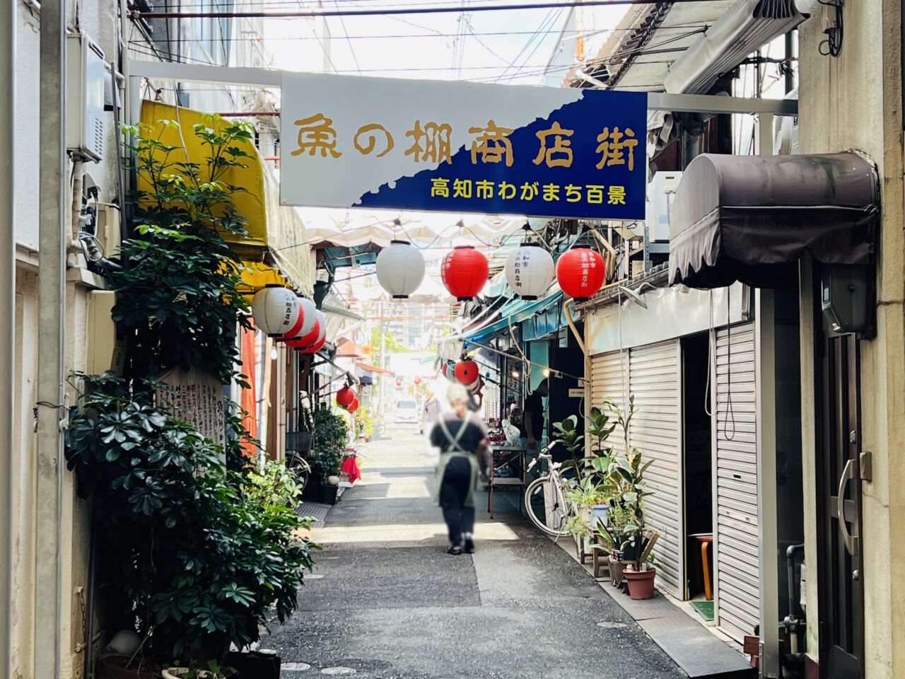 高知市はりまや町の魚の棚商店街の様子