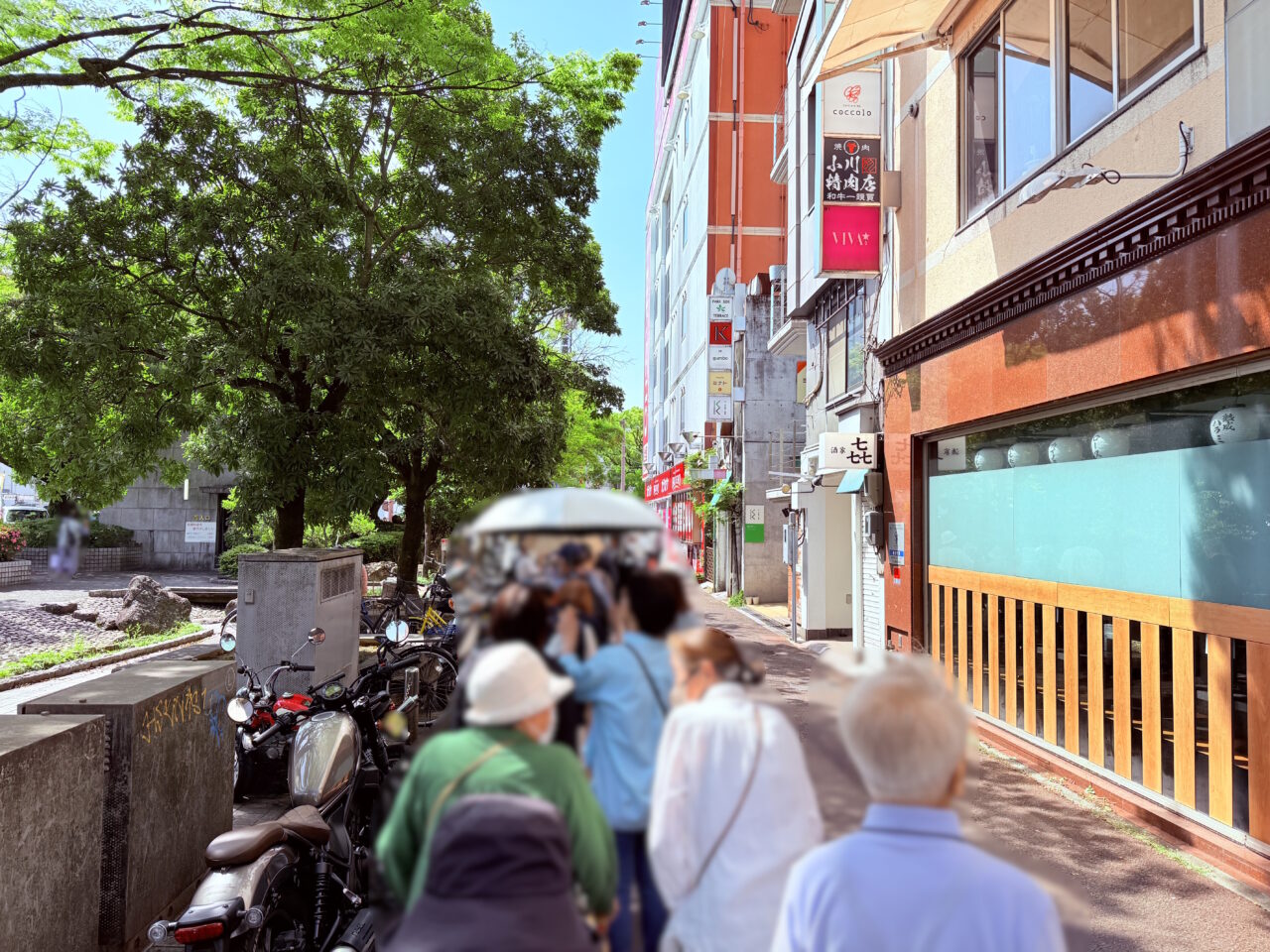 2025年5月3日～5日の間、東洋電化中央公園で開催されている「こうち春花まつり」の様子