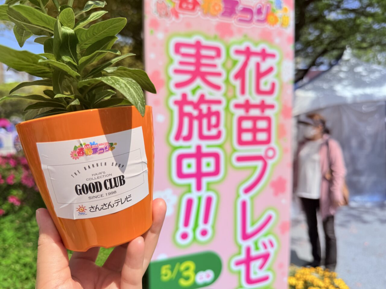 2025年5月3日～5日の間、東洋電化中央公園で開催されている「こうち春花まつり」の様子