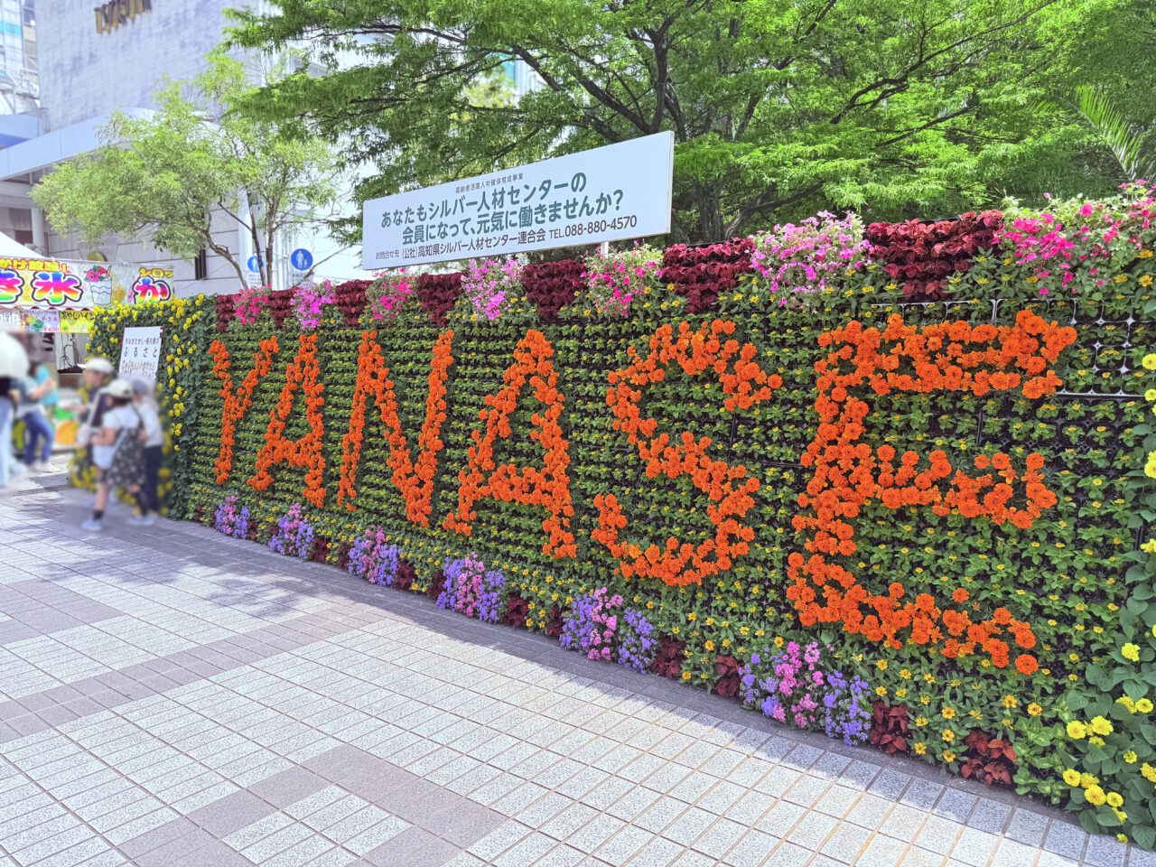 2025年5月3日～5日の間、東洋電化中央公園で開催されている「こうち春花まつり」の様子