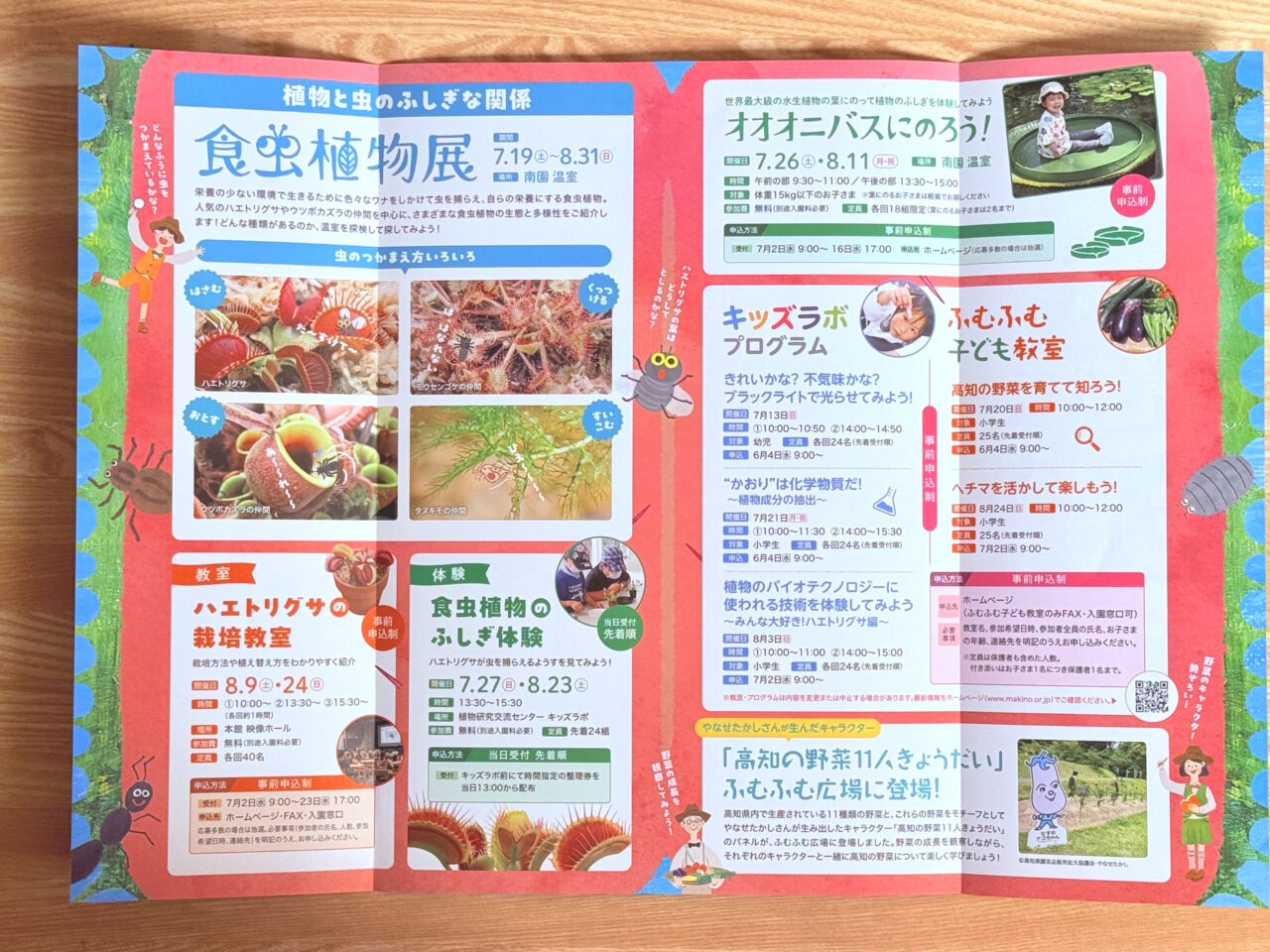 牧野植物園の2025年夏のイベント冊子