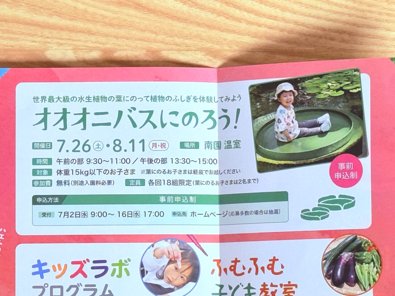 牧野植物園の2025年夏のイベント冊子