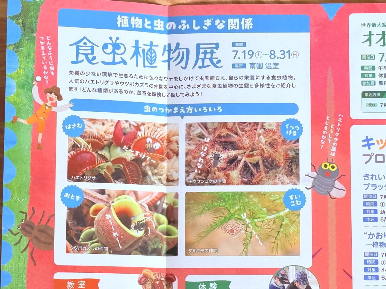 牧野植物園の2025年夏のイベント冊子
