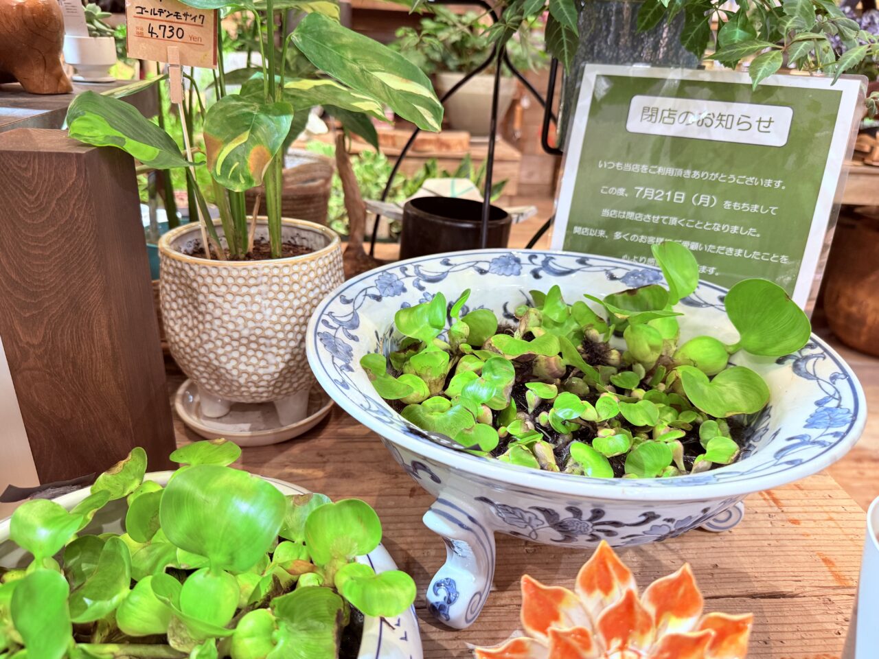 2025年7月21日に閉店するイオンモール高知の「UN DEUX PLANTS」