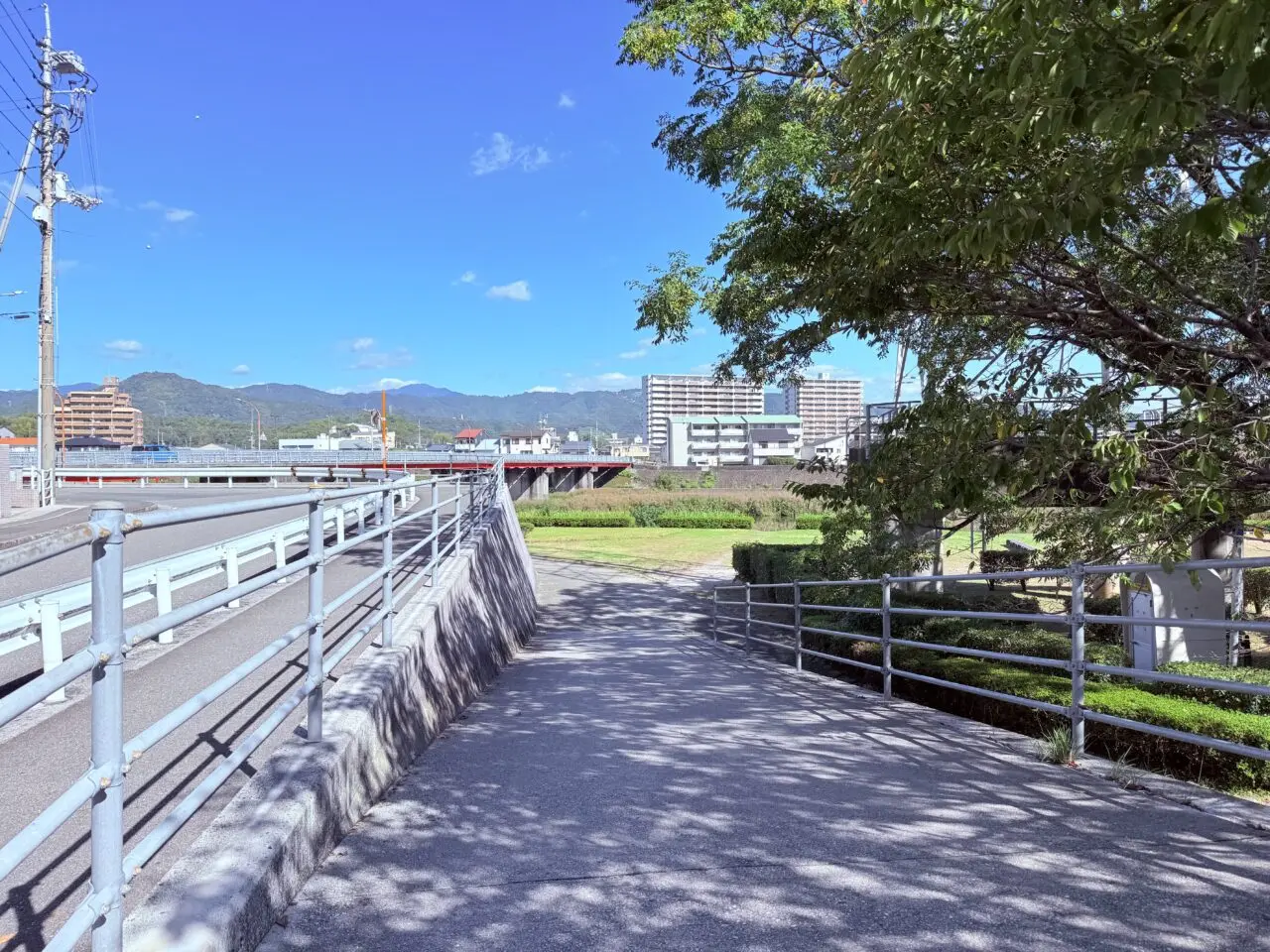 2025年11月2日・3日に「鏡川緑地公園イベントin紅葉橋」が開催される会場