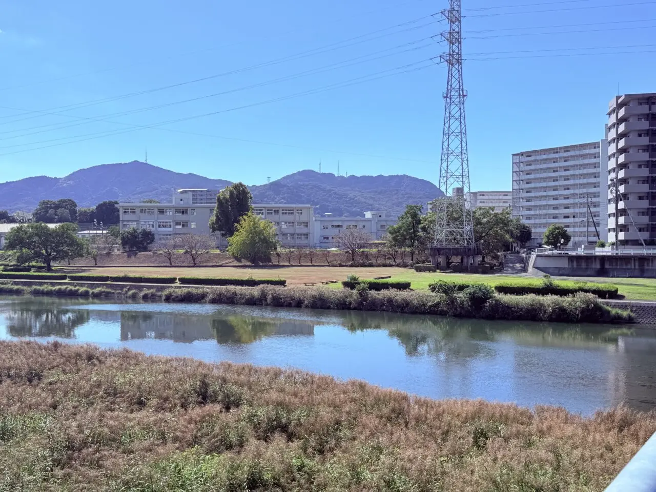2025年11月2日・3日に「鏡川緑地公園イベント in 紅葉橋」が開催される会場