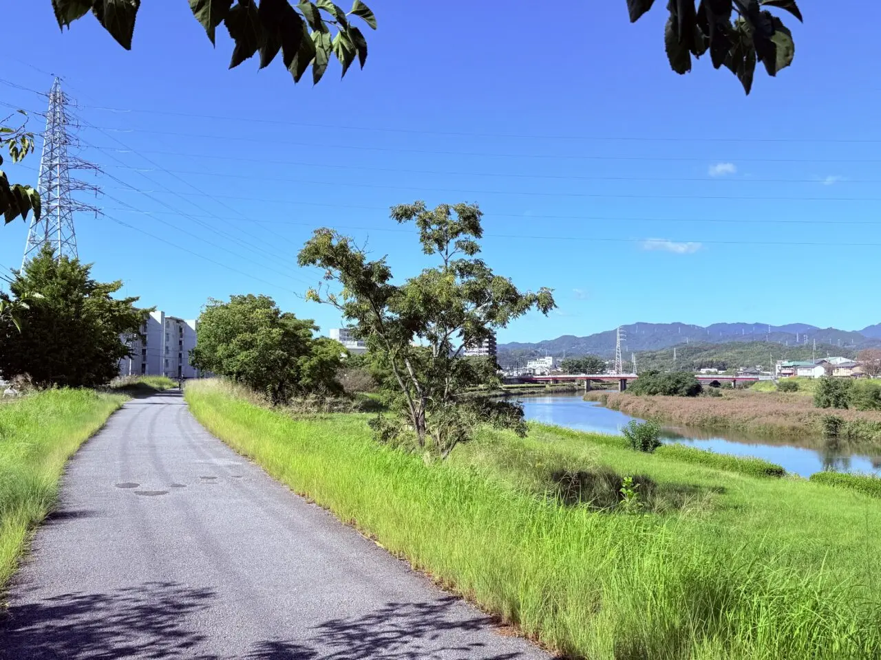 2025年11月2日・3日に「鏡川緑地公園イベント in 紅葉橋」が開催される会場