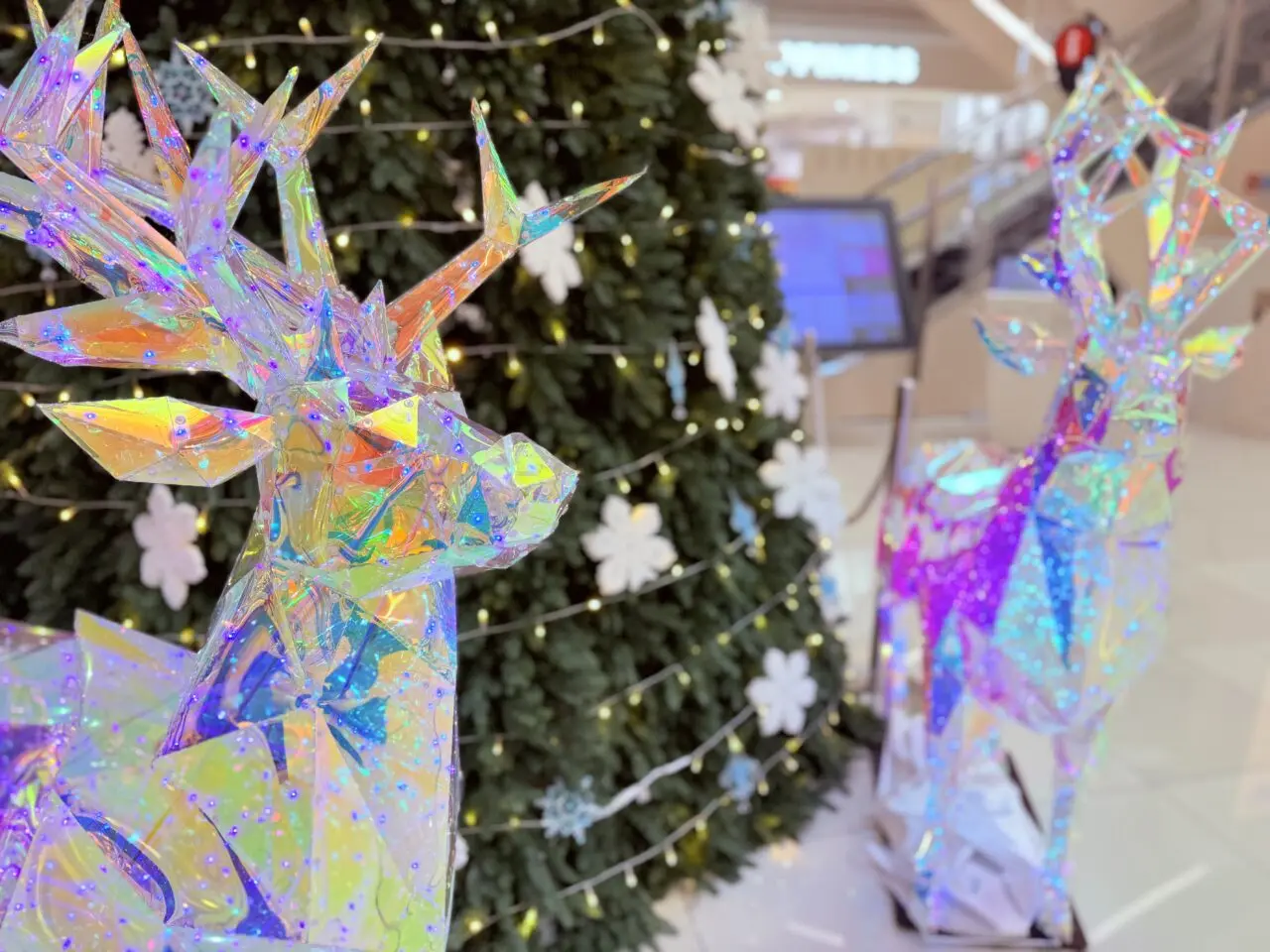 2025年12月20日・21日に「クリスマスマルシェ」が行われるイオンモール高知