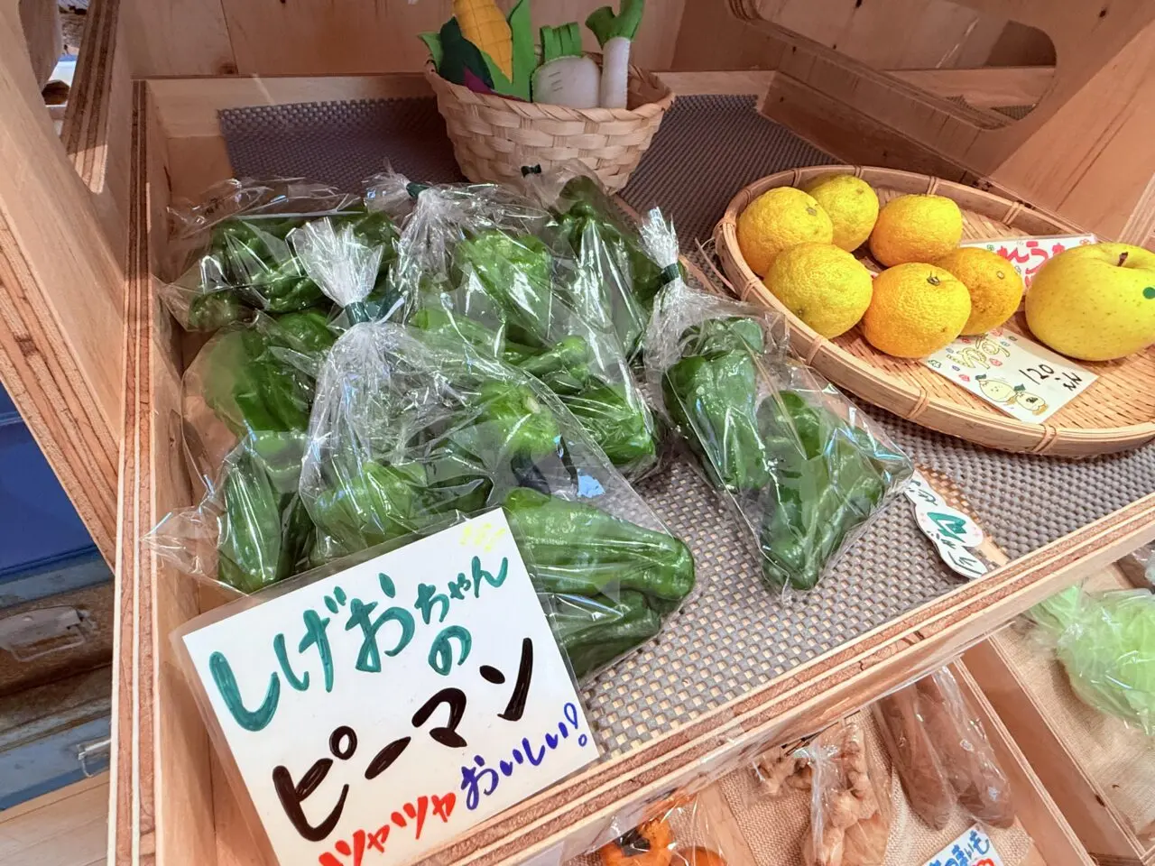 2025年10月20日に高知市高須にオープンした”ユニークな八百屋”「森尾商店」の店内の様子