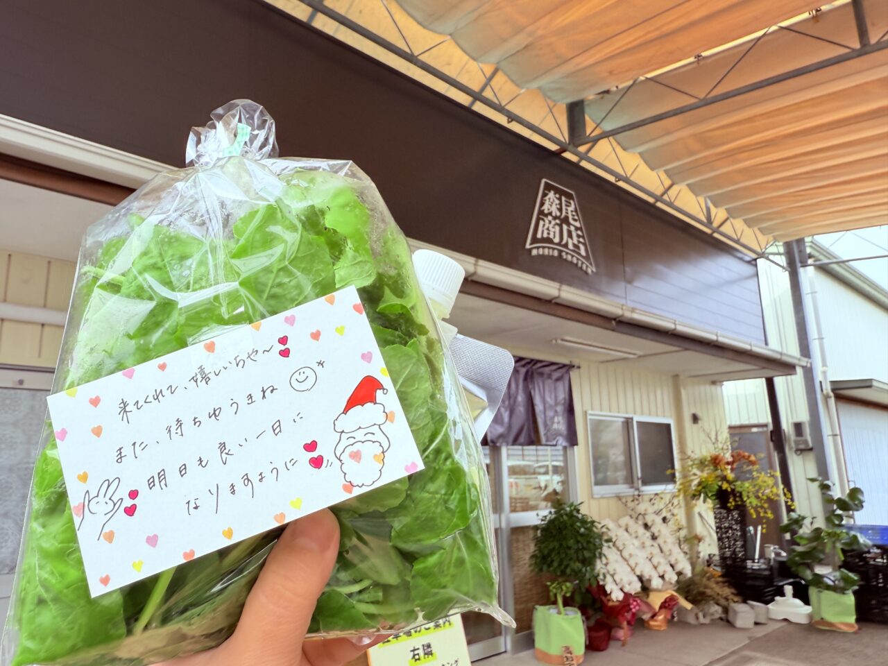 2025年10月20日に高知市高須にオープンした”ユニークな八百屋”「森尾商店」の外観