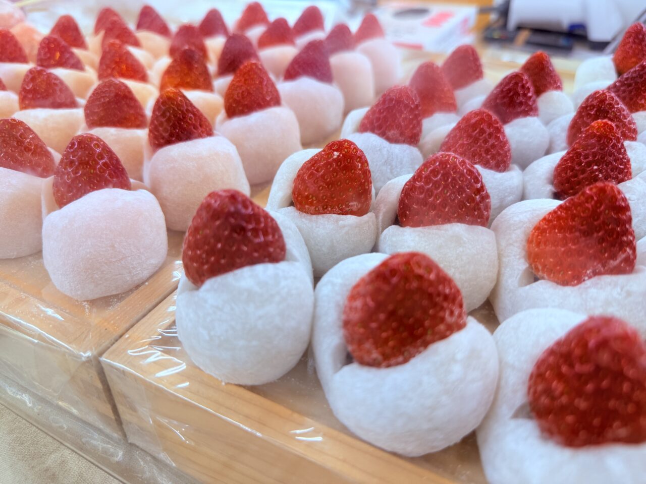 高知大丸で開催中の「さんのすけ厳選！パン＆スイーツフェス2026」の様子