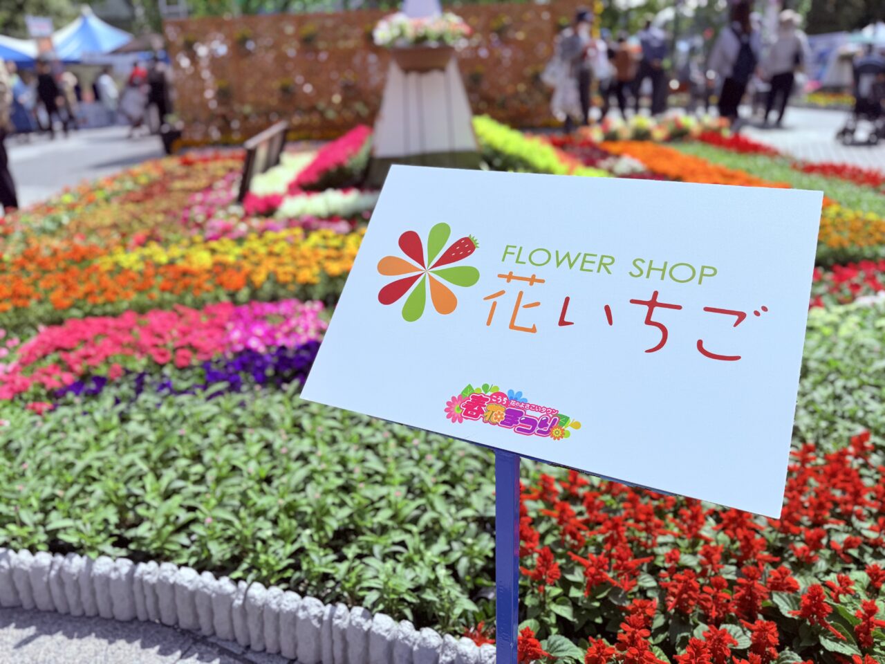 2025年に開催された「こうち春花まつり」の様子