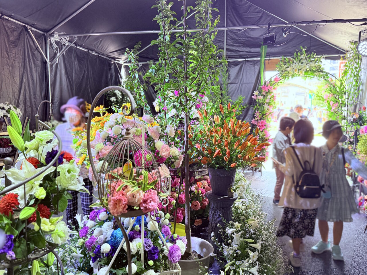 2025年に開催された「こうち春花まつり」の様子