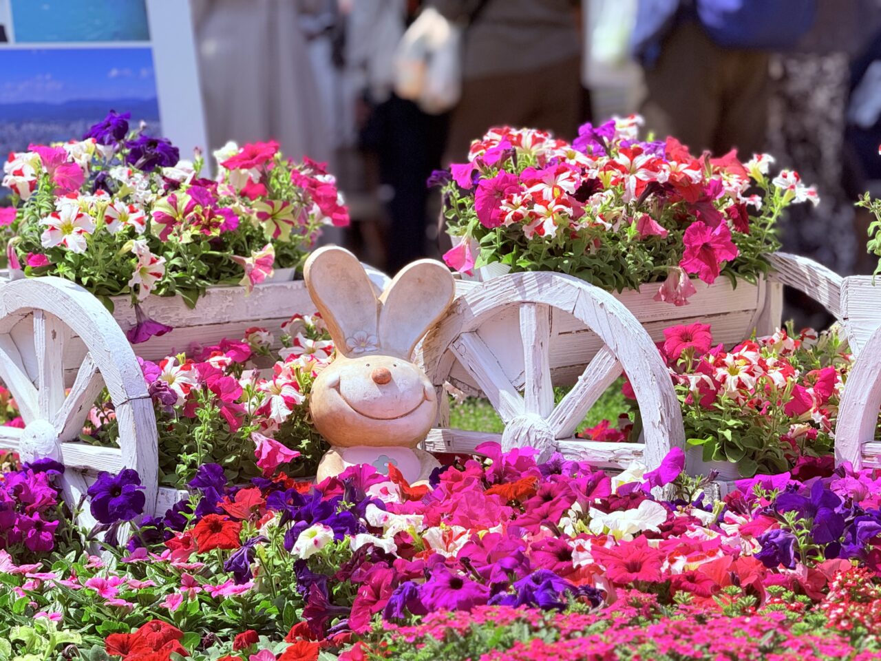 2025年に開催された「こうち春花まつり」の様子