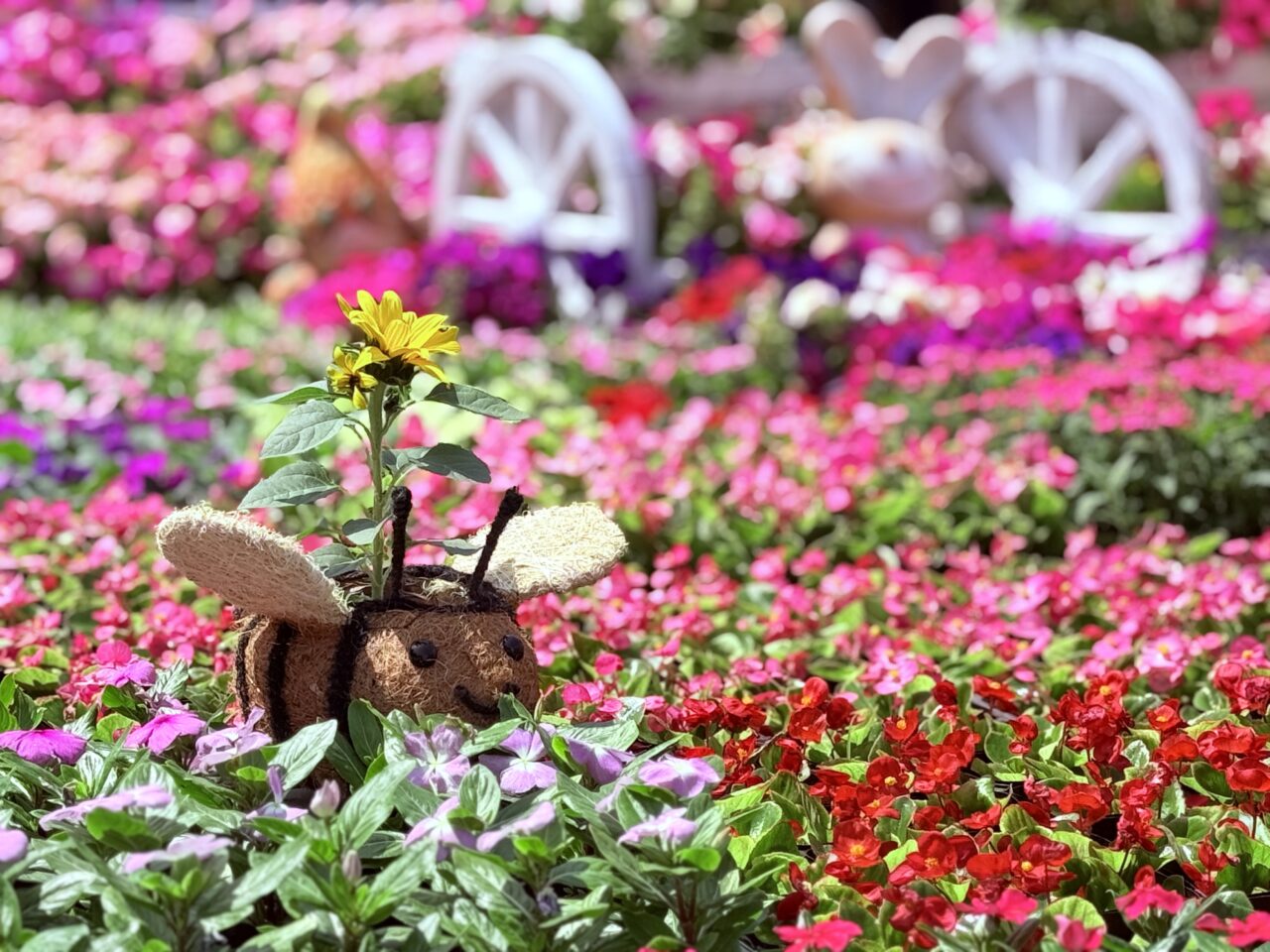 2025年に開催された「こうち春花まつり」の様子