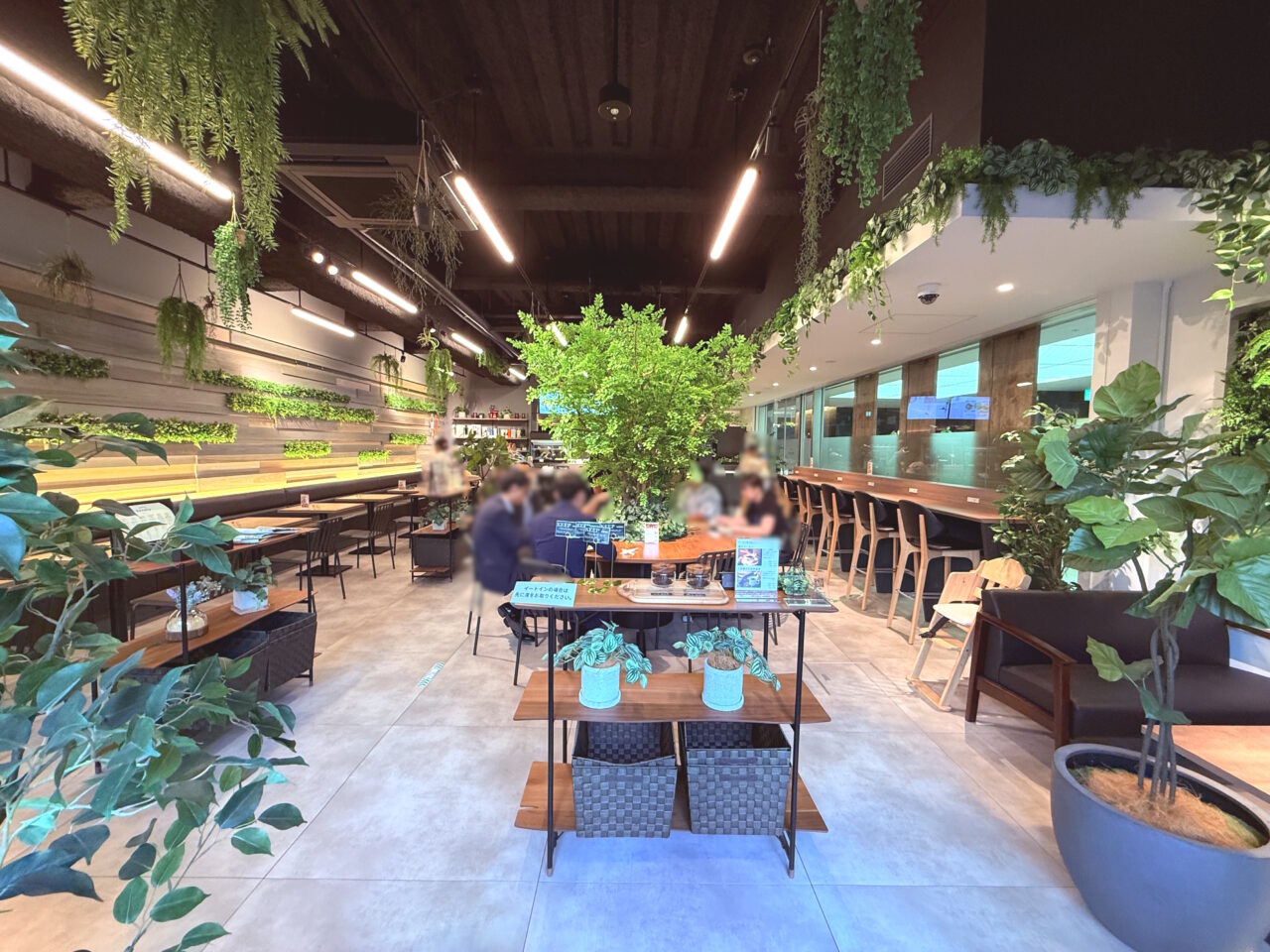 2026年10月1日にリニューアルオープンしたボタニカルカフェ「konoha」の店内の様子
