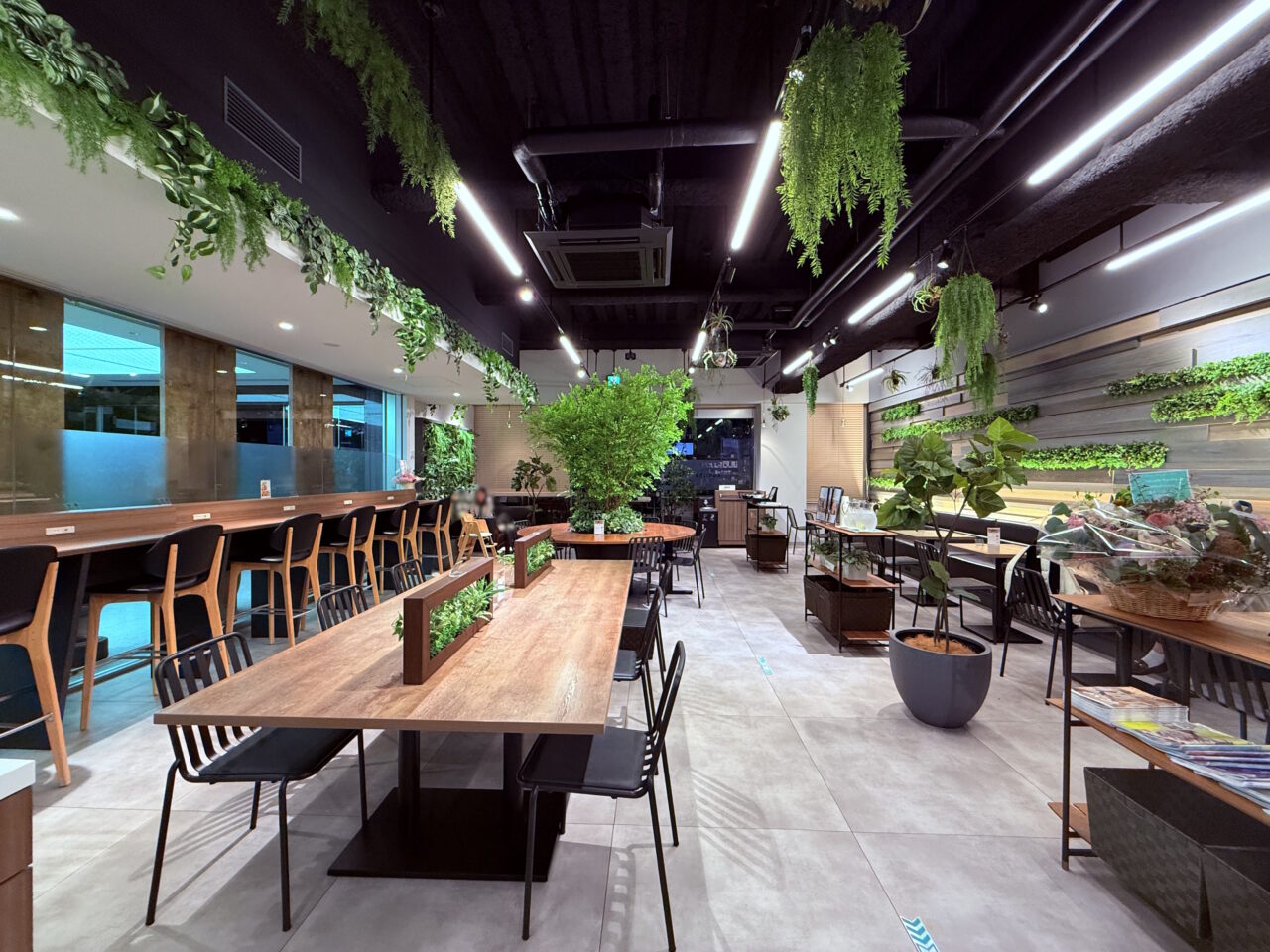 2026年10月1日にリニューアルオープンしたボタニカルカフェ「konoha」の店内の様子