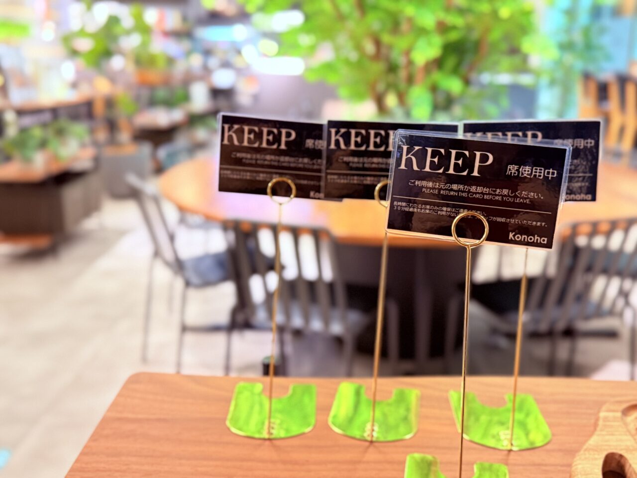 2026年10月1日にリニューアルオープンしたボタニカルカフェ「konoha」の店内の様子